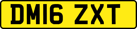 DM16ZXT