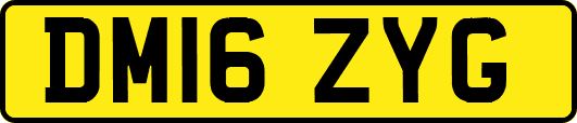 DM16ZYG