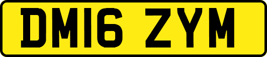 DM16ZYM