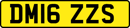 DM16ZZS
