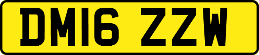 DM16ZZW