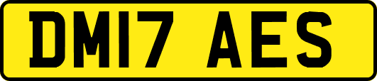 DM17AES