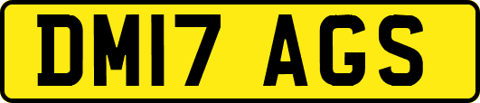 DM17AGS