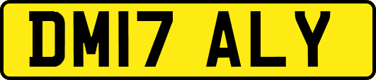 DM17ALY