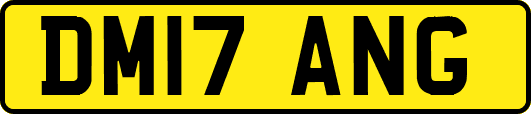DM17ANG