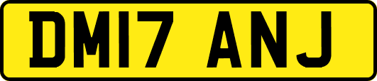 DM17ANJ