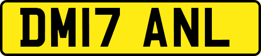 DM17ANL