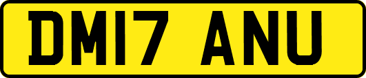DM17ANU