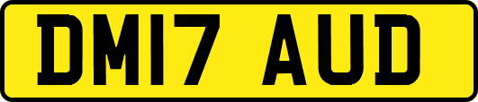 DM17AUD
