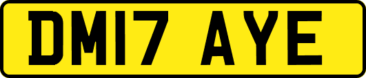 DM17AYE
