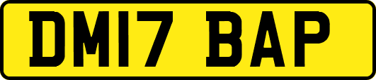 DM17BAP