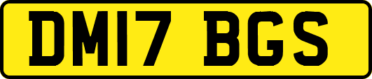 DM17BGS