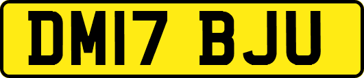 DM17BJU