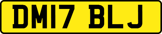 DM17BLJ