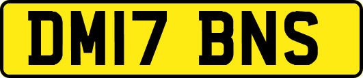 DM17BNS