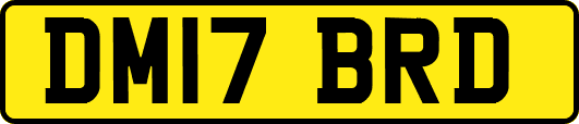 DM17BRD