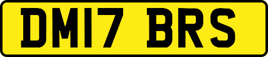 DM17BRS