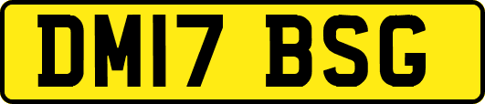 DM17BSG