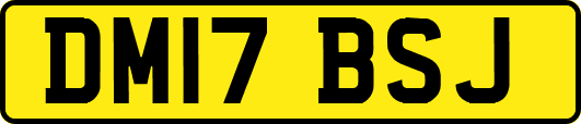 DM17BSJ