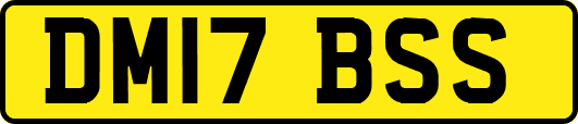 DM17BSS