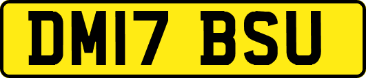 DM17BSU