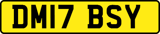 DM17BSY