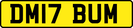 DM17BUM