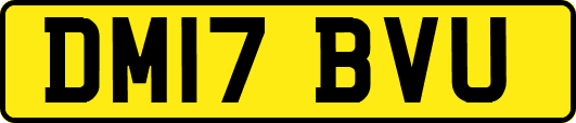 DM17BVU