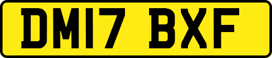 DM17BXF