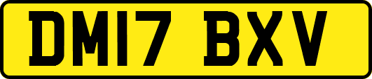 DM17BXV