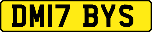 DM17BYS