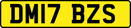 DM17BZS
