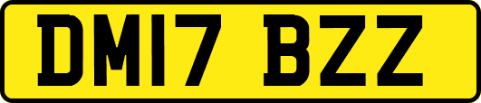 DM17BZZ