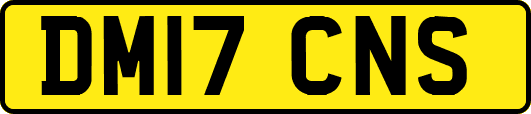 DM17CNS