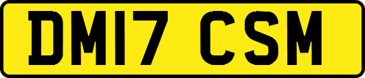 DM17CSM