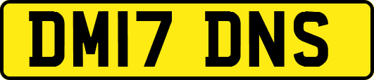 DM17DNS