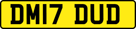 DM17DUD