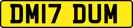DM17DUM