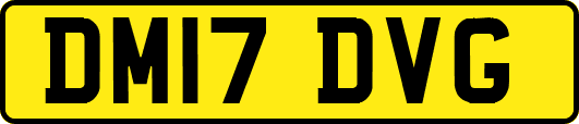 DM17DVG
