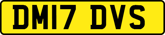 DM17DVS