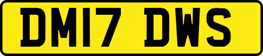 DM17DWS