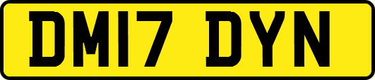 DM17DYN