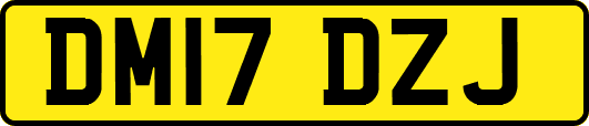 DM17DZJ