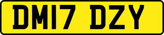 DM17DZY