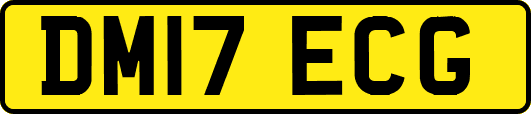 DM17ECG
