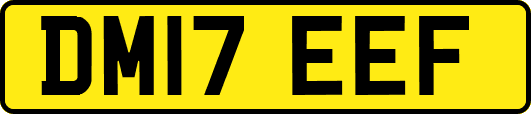 DM17EEF