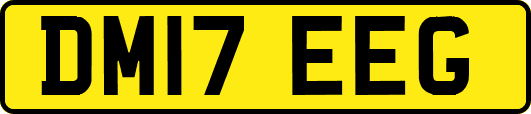 DM17EEG