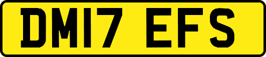 DM17EFS