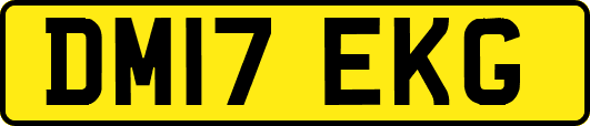 DM17EKG