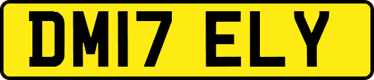 DM17ELY